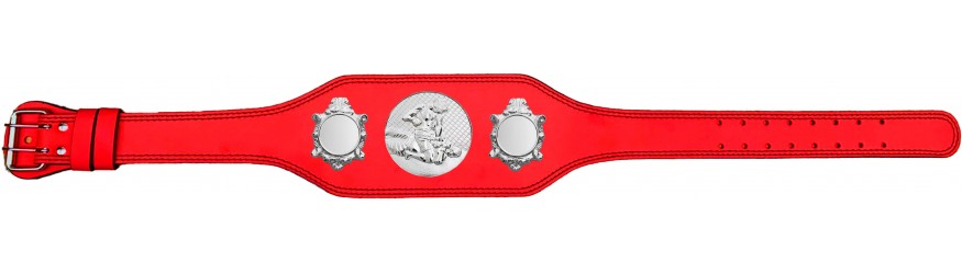 MMA CHAMPIONSHIP BELT-BUD003/S/MMAS-4 COLOURS